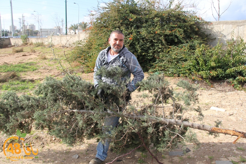 taso mashro3 tandaef (4).JPG